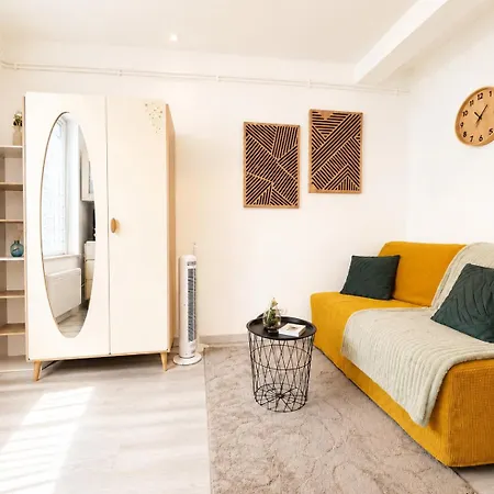 Centre - Petit Fonctionnel - Canape Convertible - Ideal Courts Sejours - Proche Gare Et Du Centre-ville - Wifi - Cuisine Equipee - Salle De Bain - Parking Facile *